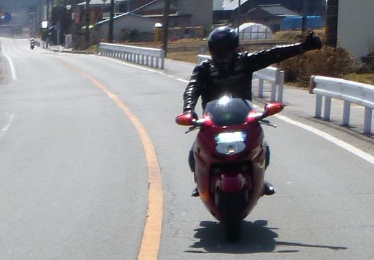 20133178.jpg
