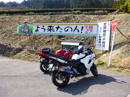 20133179.jpg
