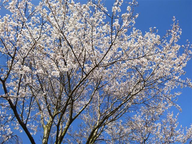 201332111R.jpg