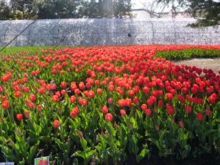 201332112R.jpg