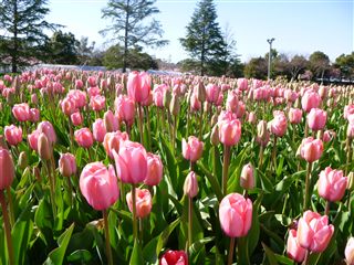 201332113R.jpg