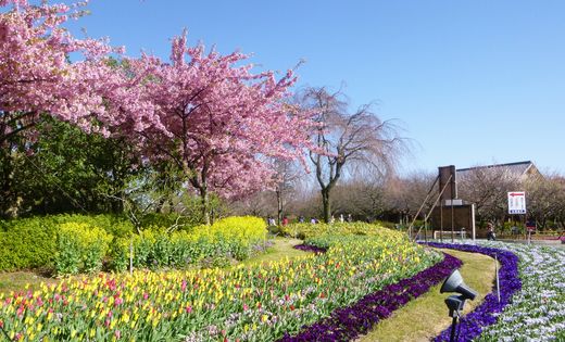 201332115.jpg