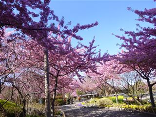 20133214R.jpg