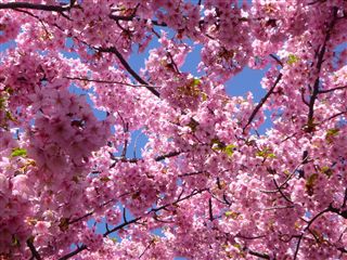 20133215R.jpg