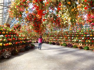 20133217R.jpg