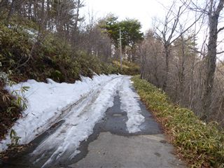20133245.jpg