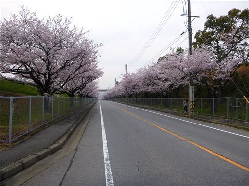 20133310.jpg