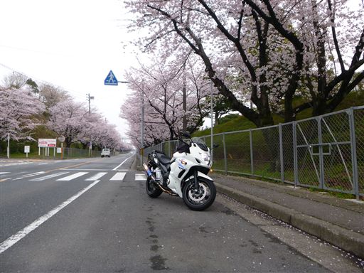 20133311.jpg