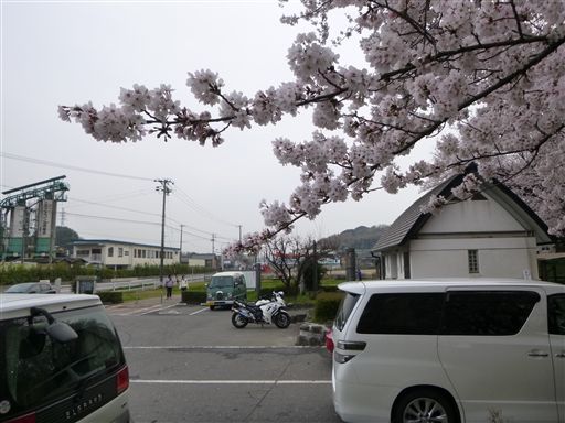 20133314.jpg