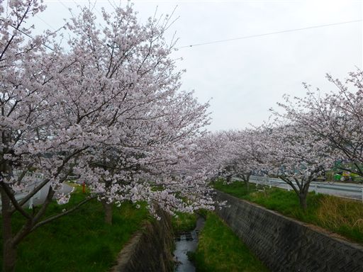 20133318.jpg