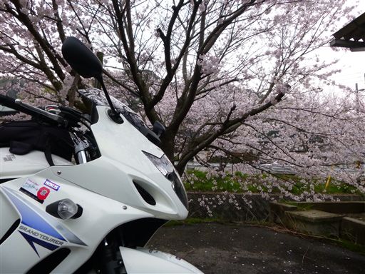 20133319.jpg