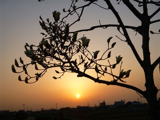 20133616.jpg