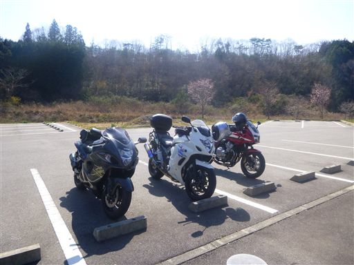 20134133.jpg