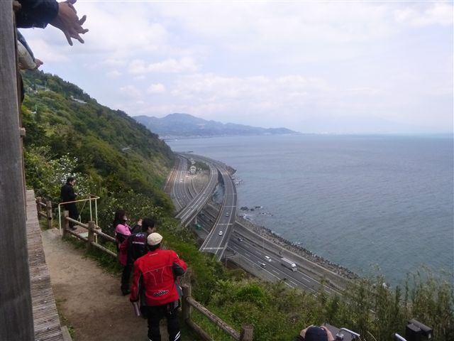 201341412.jpg