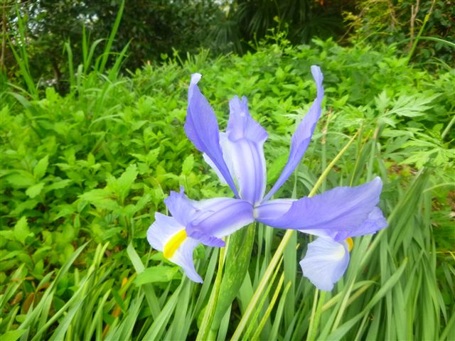 20134149.jpg