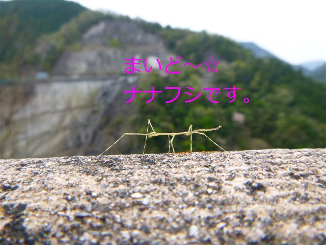 201342011_R.jpg