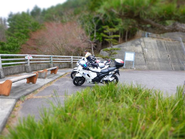 20134204R.jpg