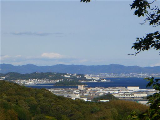 20134217.jpg