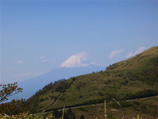 201342713_R.jpg