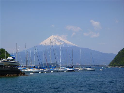 20134277_R.jpg