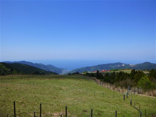 20134287_R.jpg