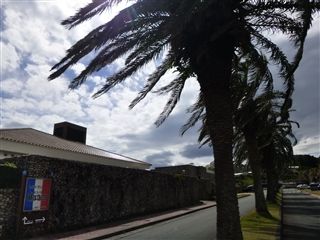 20134711.jpg