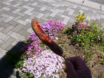 20135210_R.jpg