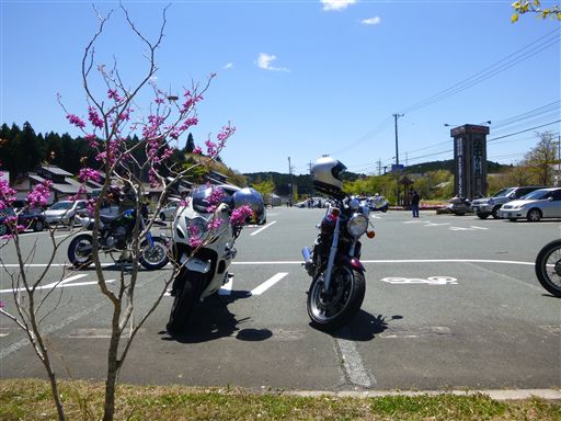 20135211_R.jpg