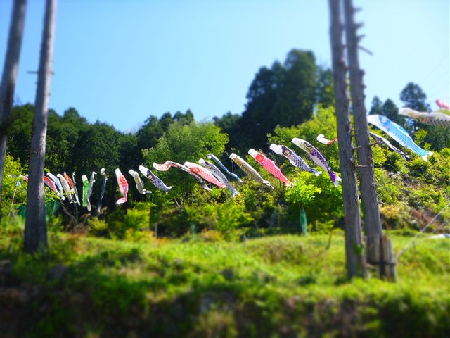2013522_R.jpg