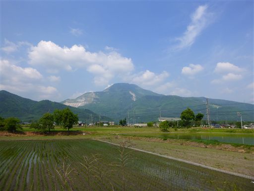 201352614.jpg