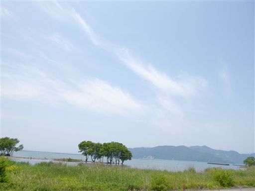 20135263.jpg