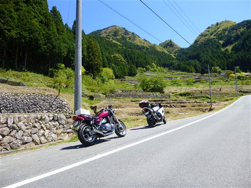 2013529_R.jpg