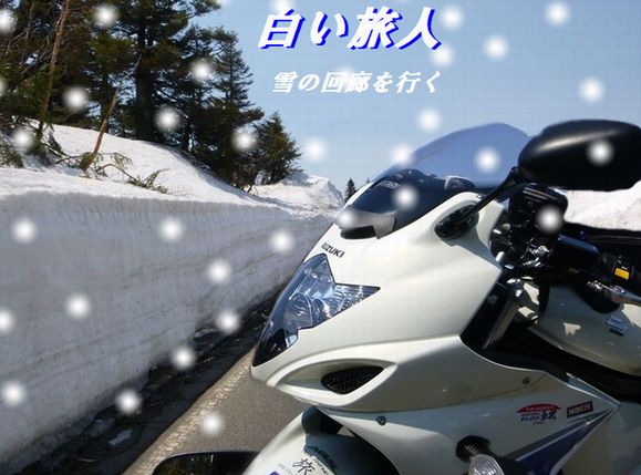 20135500.jpg