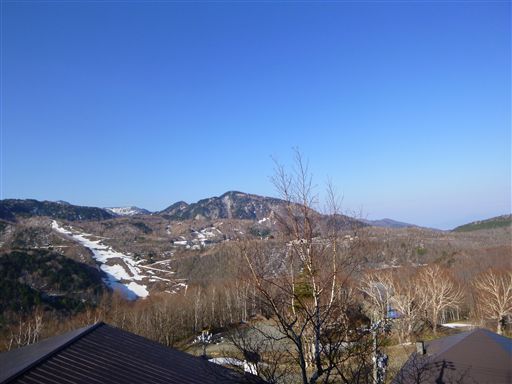 2013552_R.jpg
