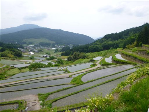 20136113_R.jpg