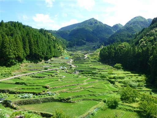 20136166_R.jpg