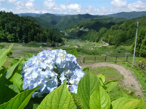 20136169_R.jpg