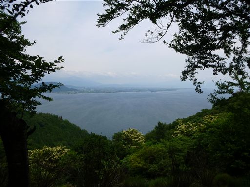 201363010.jpg