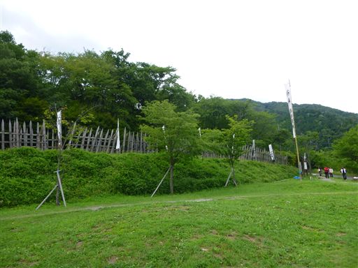 201363016.jpg