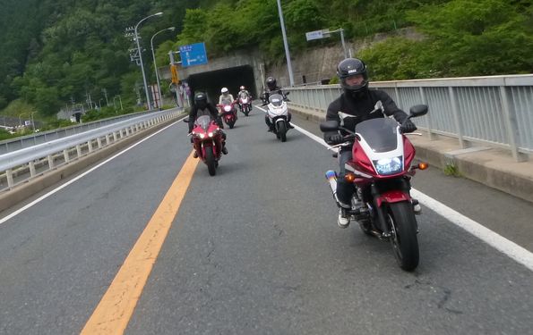 2013699.jpg