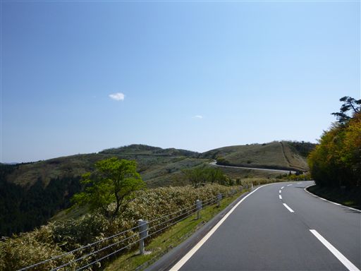 2201342710_R.jpg