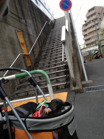 130328-015.jpg
