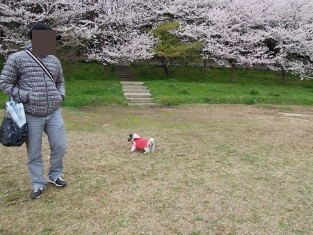 130331-031.jpg