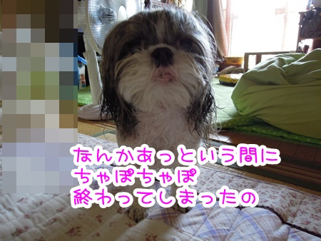 DSCN1036.jpg