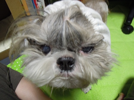DSCN1112.jpg