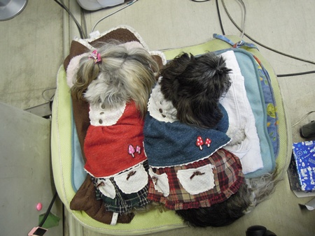 DSCN9086.jpg