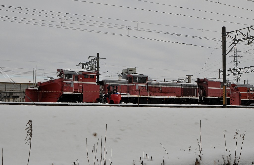 20130127dd1501.jpg