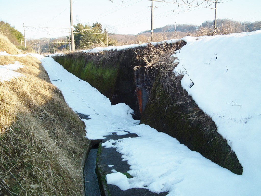 20130131002.jpg