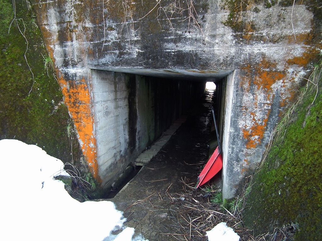 20130131003.jpg