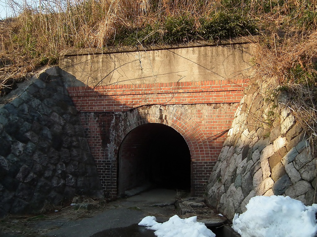 20130131005.jpg